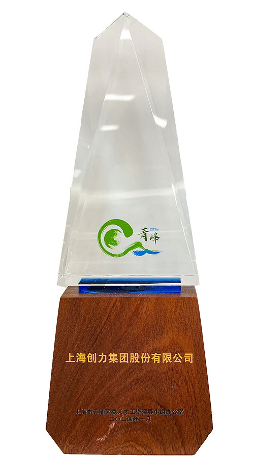 喜報(bào)！上海創(chuàng)力集團(tuán)榮獲2023年度青浦區(qū)百?gòu)?qiáng)優(yōu)秀企業(yè)等三項(xiàng)大獎(jiǎng)(圖3)