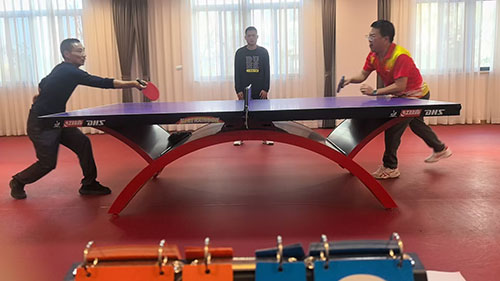 乒乓球.jpg 躍動創(chuàng)力 智勝未來 | 創(chuàng)力集團2025年主題運動會圓滿落幕(圖4)